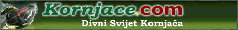 Kornjace.COM - Divni svijet kornjača
