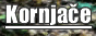 Kornjace.COM - Divni svijet kornjača