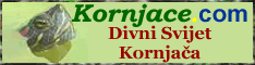 Kornjace.COM - Divni svijet kornjača